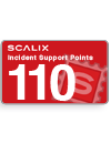 Scalix Incident Support - 110 Points - North America