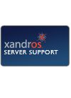 Standard Support: Server - 1 Incident